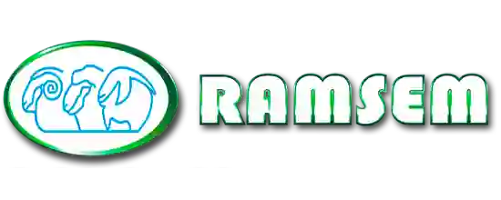 Ramsem Logo